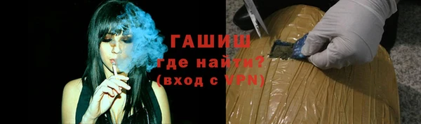 индика Магас
