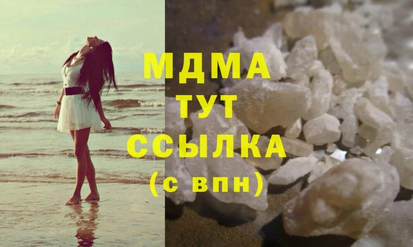 индика Магас
