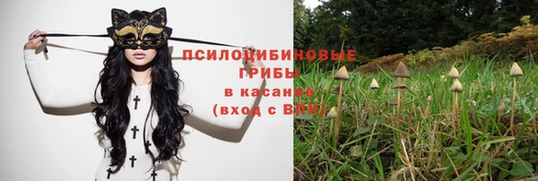 крисы Майский