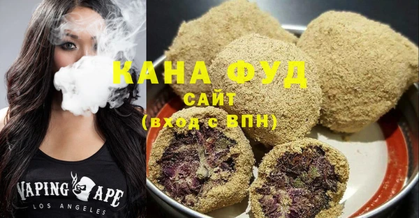 индика Магас