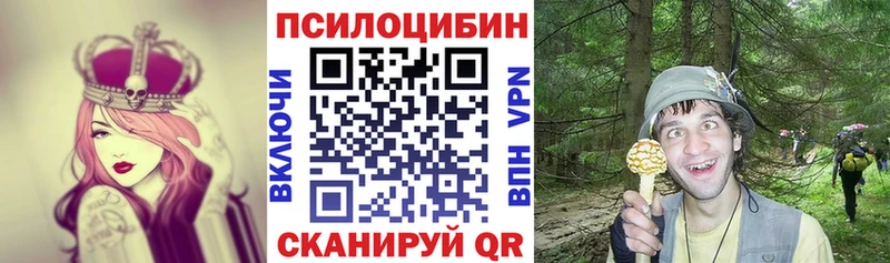 Псилоцибиновые грибы Psilocybine cubensis  Спасск 